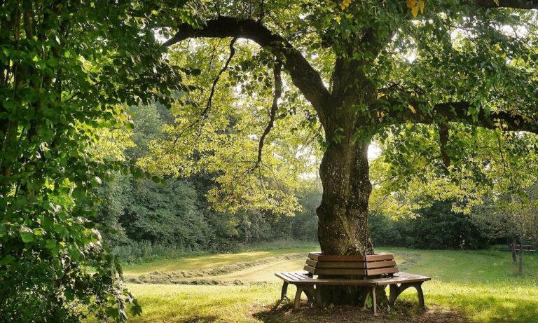 Il concetto di work-life balance per gli infermieri non è una teoria astratta, ma una sfida quotidiana: l'approfondimento di Lucia La Rosa